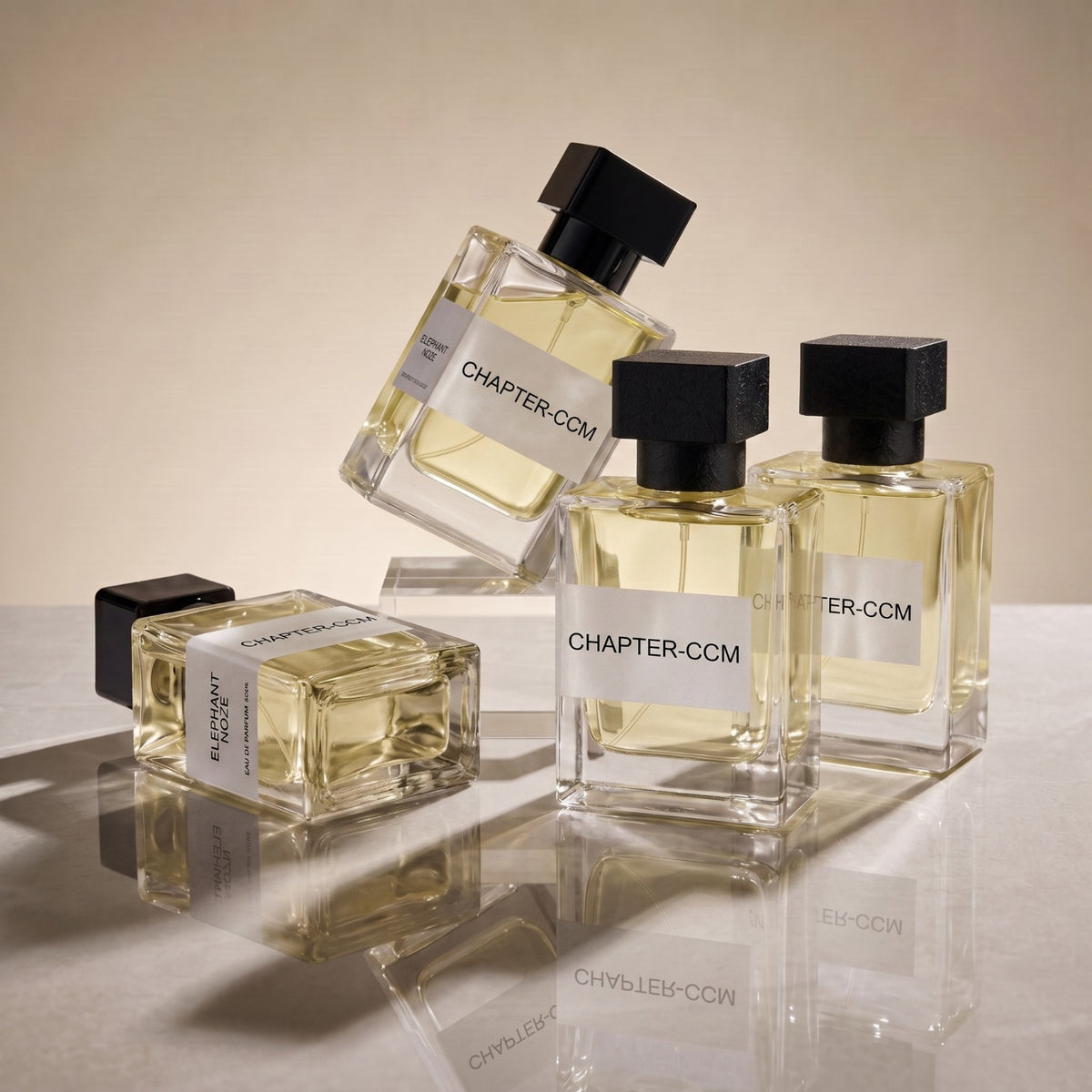 Chapter CCM inspired by Coco Mademoiselle Chanel